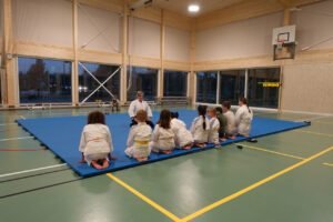 Aikido for kids