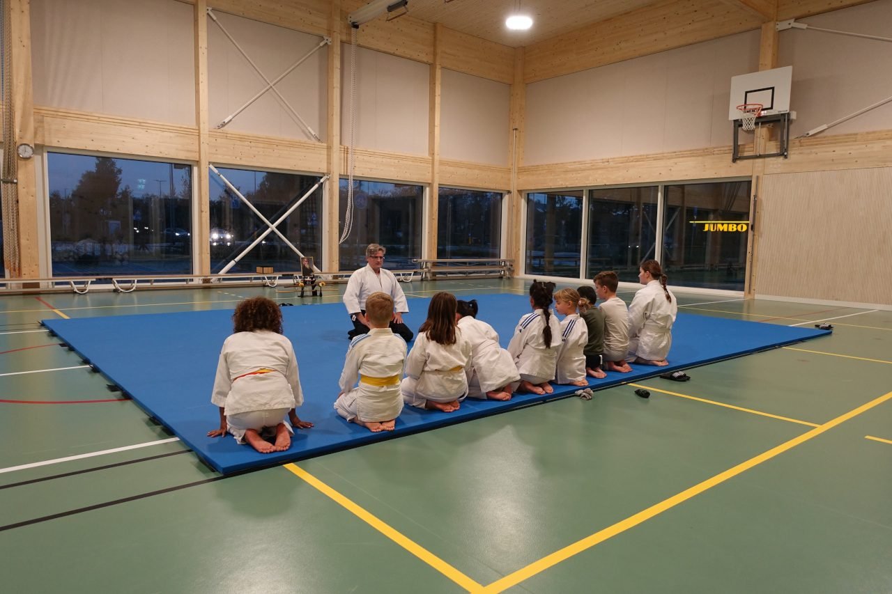 Aikido for kids